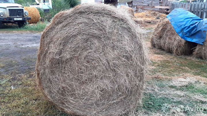 Сено в рулонах.Есть доставка
