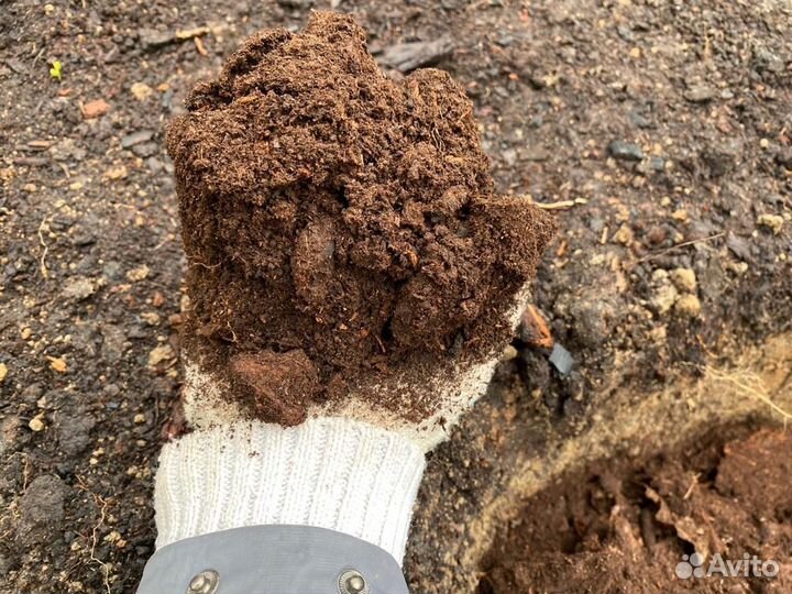 Торф для голубики и гортензий, Кора, хвойный опад