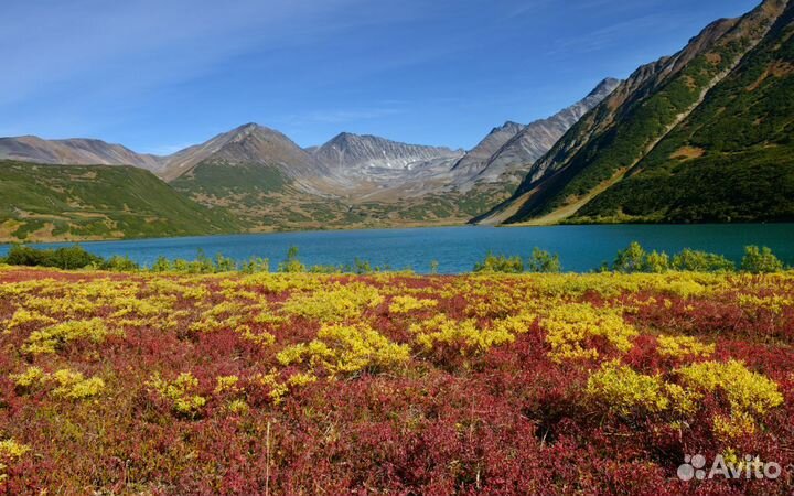 Фотоаппарат nikon d800