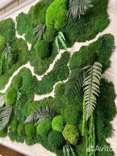 Стабилизированный Мох.Озеленение. Фитостена