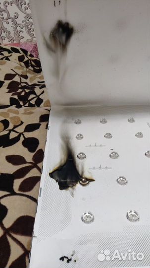 Ремонт телевизоров