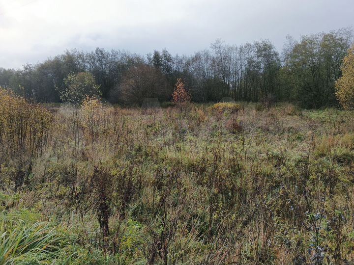 Участок 9 сот. (ИЖС)