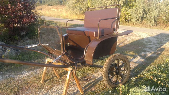 Фаэтон, карета, сани для лошадей и пони