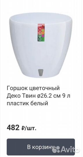 Комнатные растения