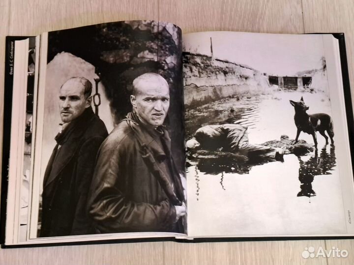 Мир и фильмы Андрея Тарковского