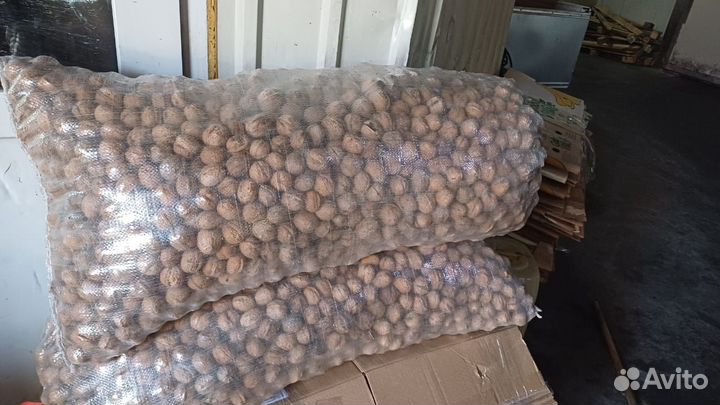 Грецкий орех