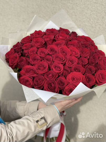 Цветы 51 роза