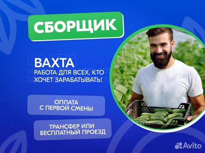 Вахта работа в Москве Сборщик стикеровщик