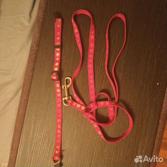 Ошейники и поводки для кошки, мелкой собачки