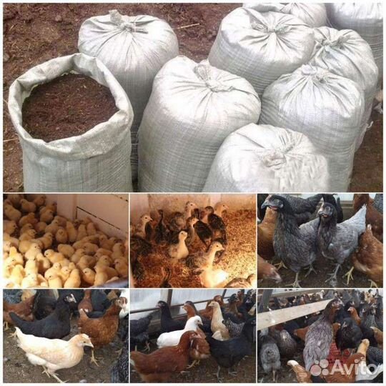 Доставка опила, навоза, торфа