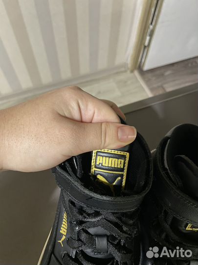 Кеды демисезонные puma 37,5