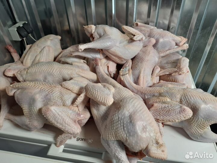 Диетическое мясо индейки