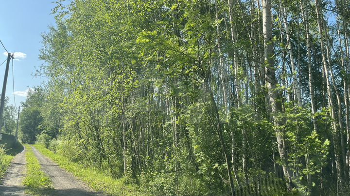 Участок 5,4 сот. (СНТ, ДНП)