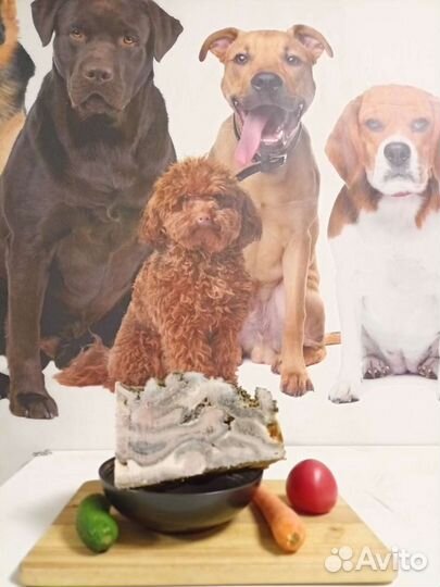 Мясо для собак (рубец,фарш,обрезь,корень,калтык