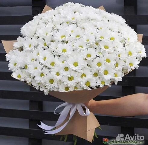 Хризантема ромашковая Букет цветов