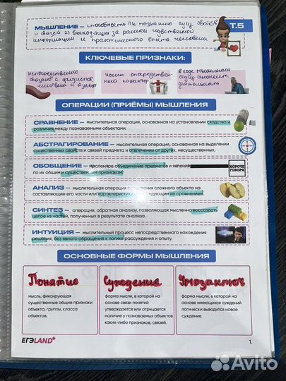 Скрипты обществознание егэland