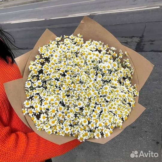 Букеты. Доставка ромашек