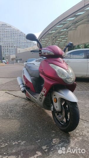 Omaks Falcone 150/50