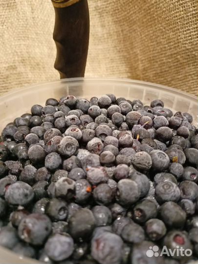 Черника замороженная отборная