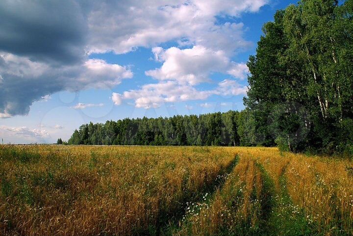 Участок 2 га (промназначения)