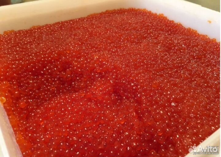 Рыба и морепродукты