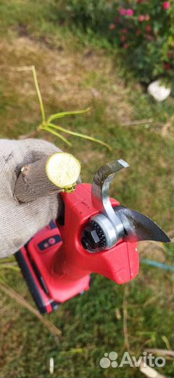 Сккатор аккумуляторный