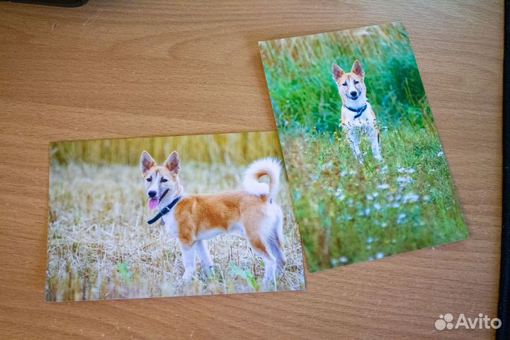 Печать документов А4/А5 Фотопечать