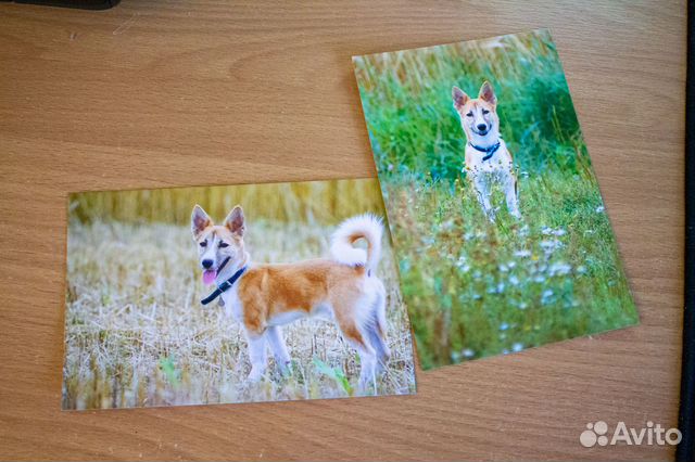 Печать документов А4/А5 Фотопечать