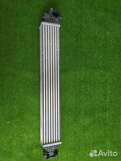 Интеркулер Honda Civic FC / FK 2017