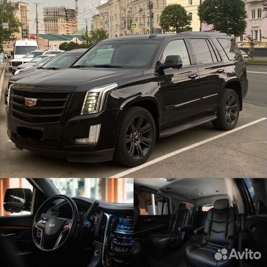 Аренда авто с водителем. Свадьба, VIP трансфер