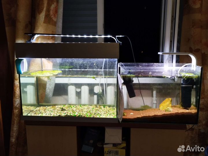 Аквариум