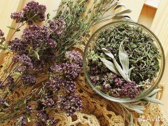 Душица матрёшка травы соцветия и букеты