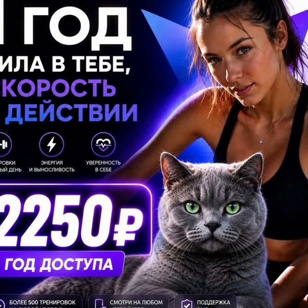 Подписка FitStars 12 месяцев