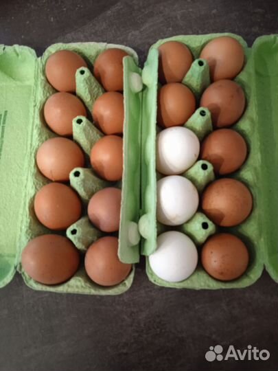 Деревенские куриные яйца