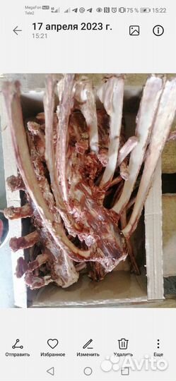 Корм для животных