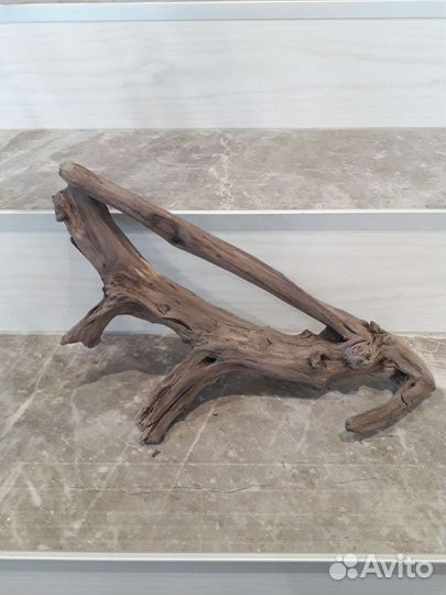 Коряга с Волги