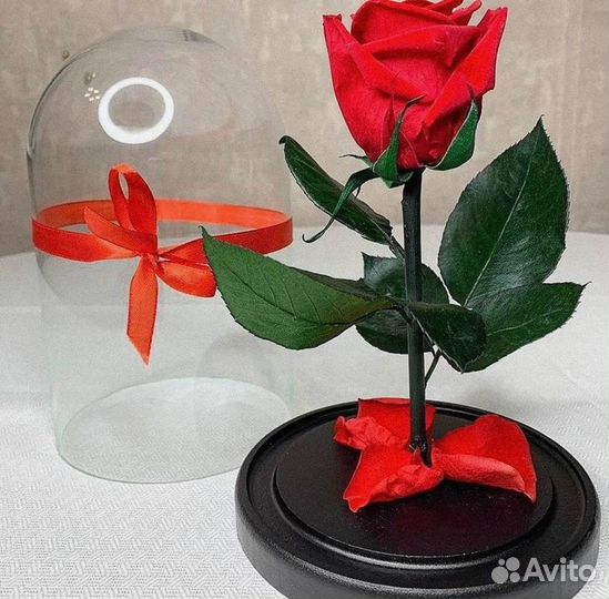 Розы в колбе любые
