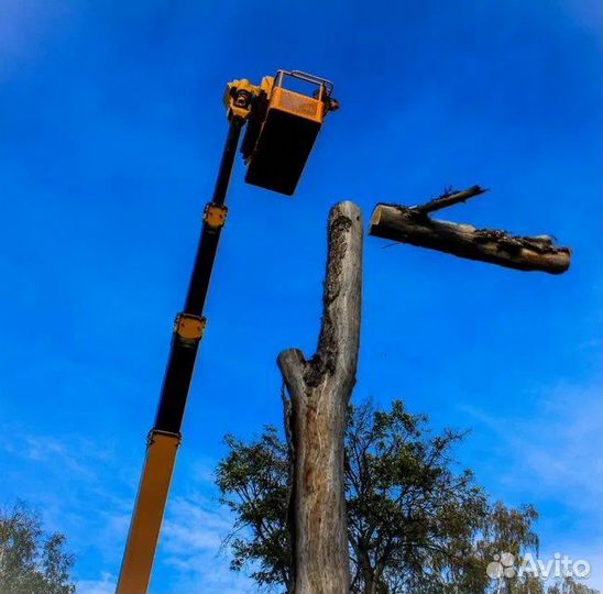 Спил деревьев, кронирование, обрезка веток