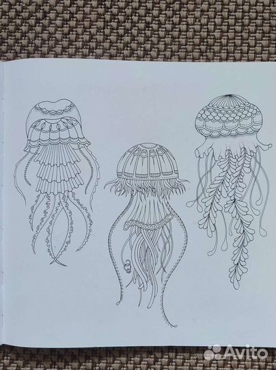 Затерянный океан