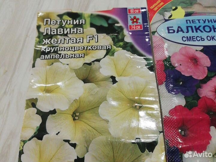 Петуния ампельная рассада