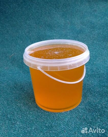 Мед подсолнечный 2023