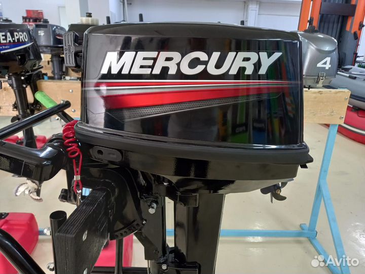 Лодочный мотор Меркури 9.9 Light 169сс