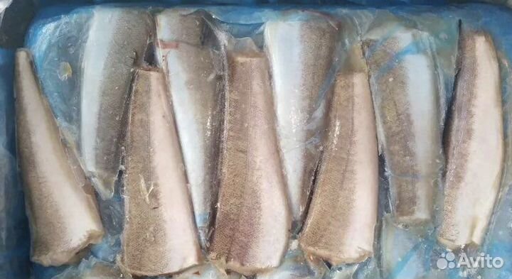 Рыба Бротолла свежемороженая