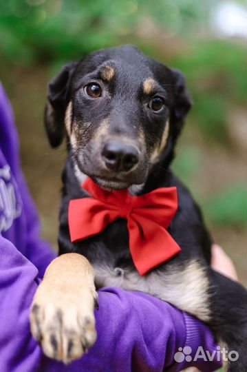 Спасите малыша