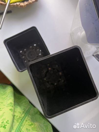 Контейнер для рассады