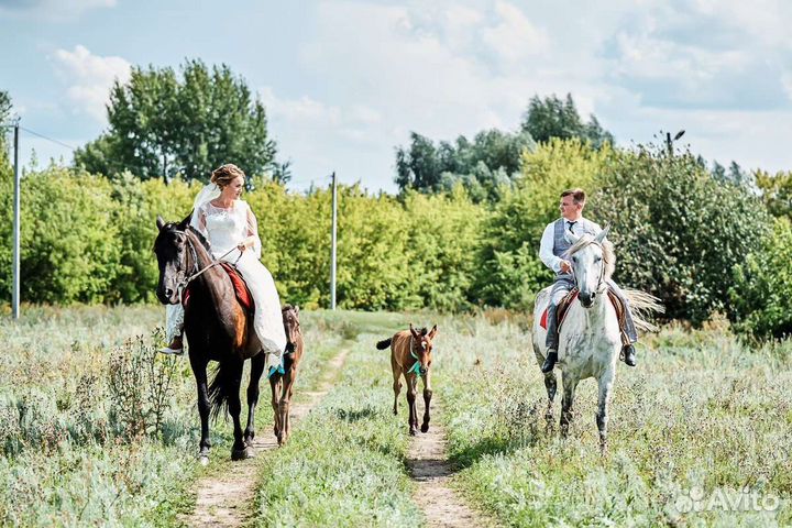 Ведущий,тамада на Свадьбу,певец,юбилей,корпоратив