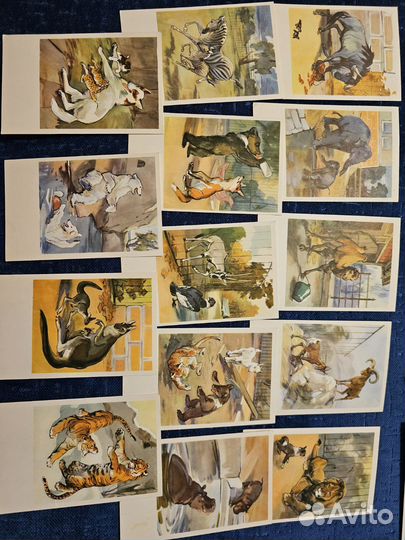 Открытки СССР художника строгонова и алексеева