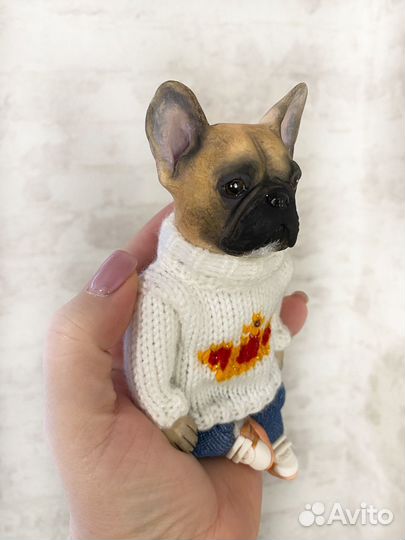 Французский бульдог Бланк