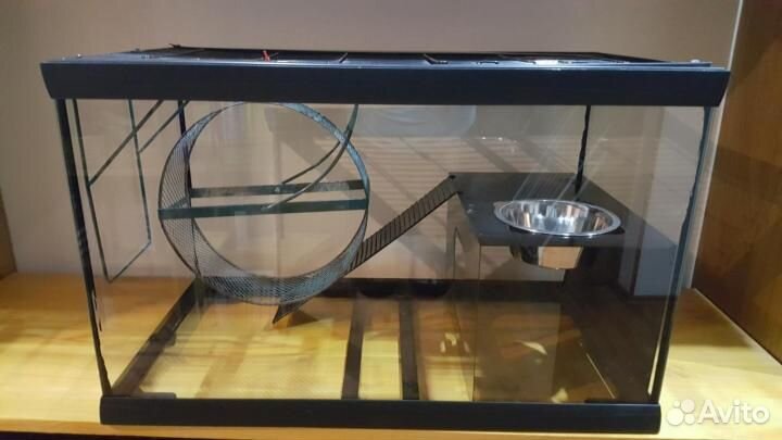 Песчанки разных окрасов и возрастов можно с клетк