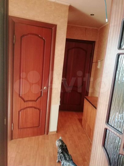 2-к. квартира, 46,3 м², 5/5 эт.